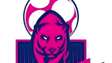 KARNATAKA WOMENS LEAGUE