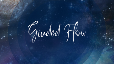 Guided Flow - Video Album