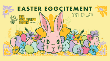 Easter Eggcitement