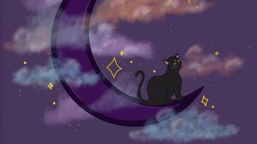 The Midnight Faire