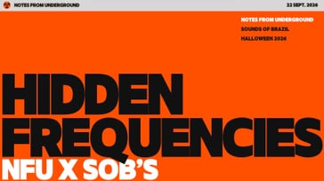 Hidden Frequencies