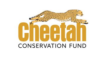 A Cheetah Conservation Mixer
