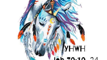 Painted Ponies Playday