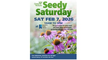 Seedy Saturday