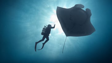 THE LAST DIVE: San Diego Premiere