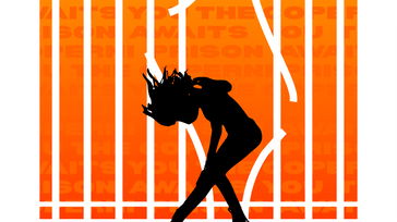 ORANGE IS THE NEW C*NT