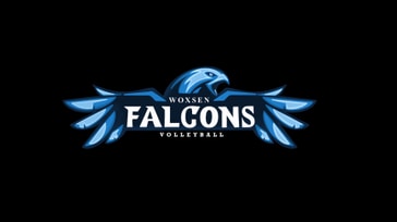 Volleyball league