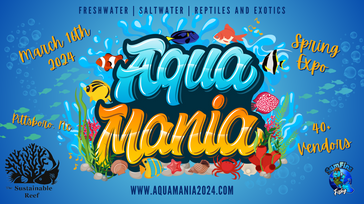 Aqua Mania