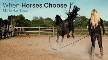 When Horses Choose Clinic