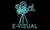 E Visuals
