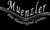 Muenzler Handcrafted Guitars