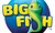 Big Fish Games
