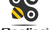 Beeline Bikes