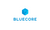 Bluecore