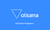 Volsana - Anti Virus Programs