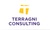 Terragni Consulting