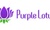 Purple Lotus