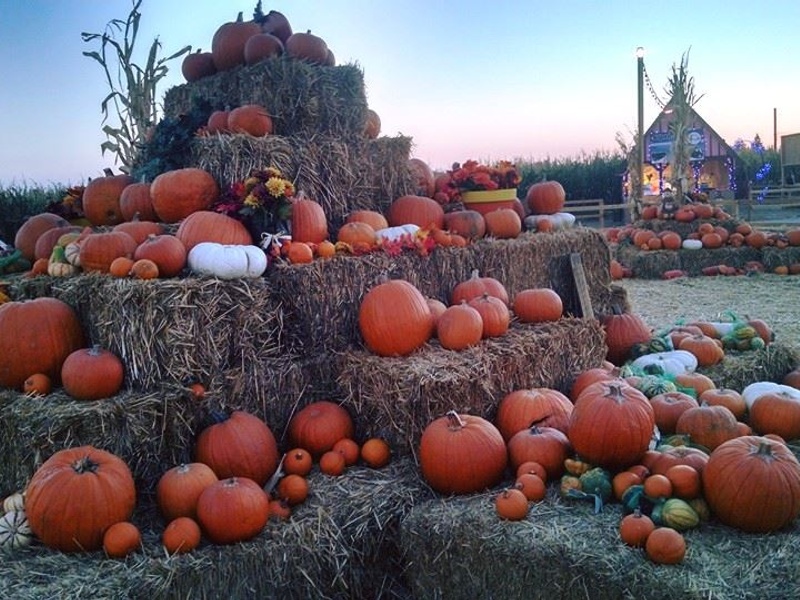 Halloween Town Bakersfield 2025