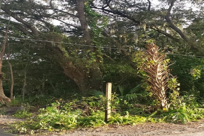 Interior 2 photo for 0 DIXIE WAY Sanford fl 32771