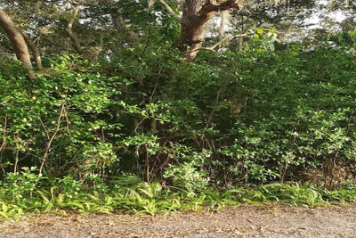 Interior 2 photo for DIXIE WAY Lot 7 Sanford fl 32771