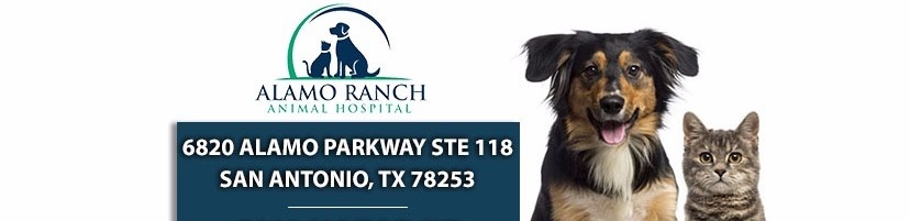 Alamo Ranch Animal Hospital (Veterinary Care) - 5 Recommended