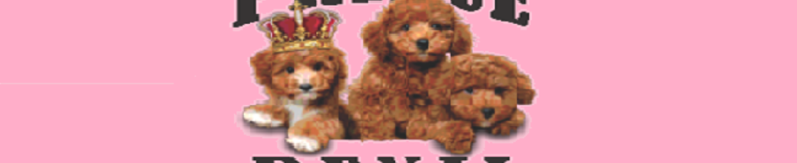 Prince Benji&rsquo;s (Pet Groomer) - 6 Recommended