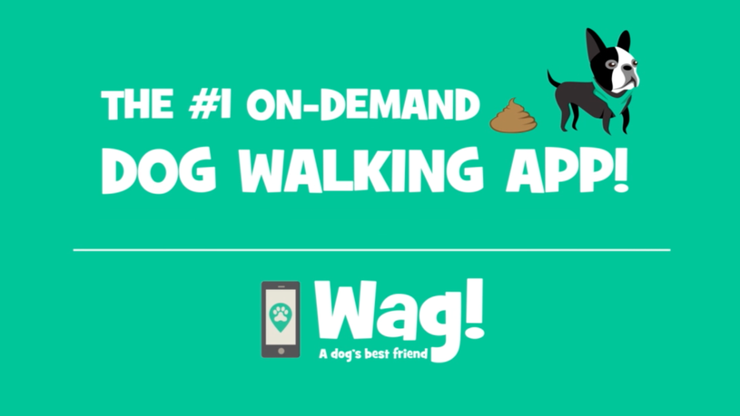 Wag instant sale dog walkers