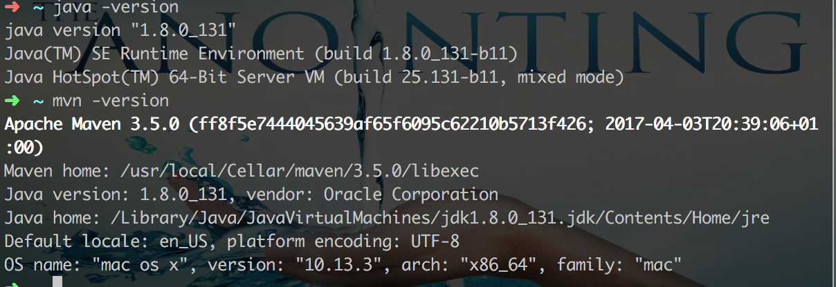 Screen Shot 2018-06-17 at 9.59.07 PM.png