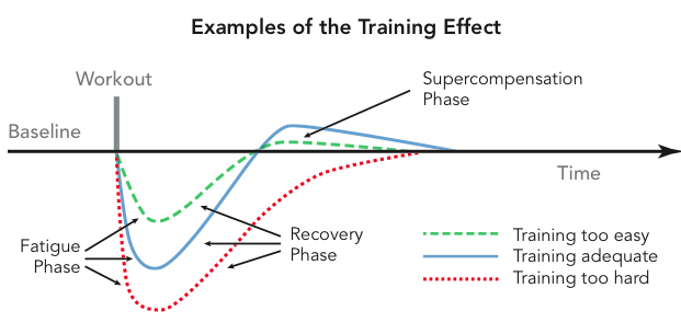 Training Effect.png