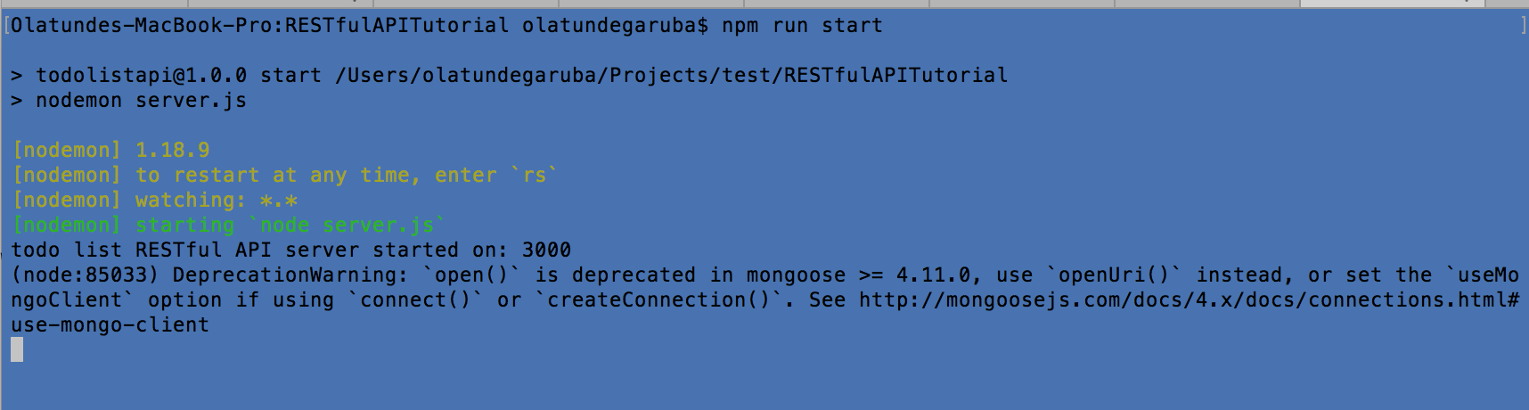 Screen Shot 2019-01-29 at 12.36.25 AM.png