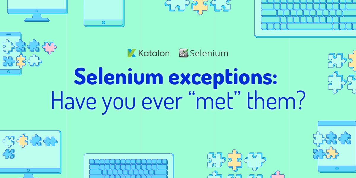 selenium-exception.png