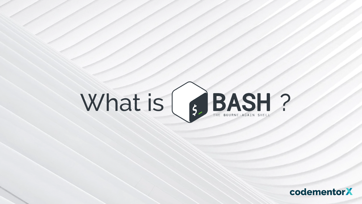 What You Should Know About Your Computer Friend Bash