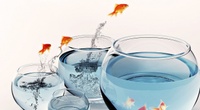 Cloud auto scaling and budgeting your IT