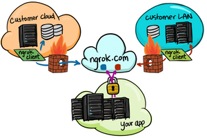 Using ngrok to expose local web server