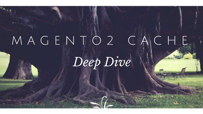 Magento 2 Cache Deep Dive