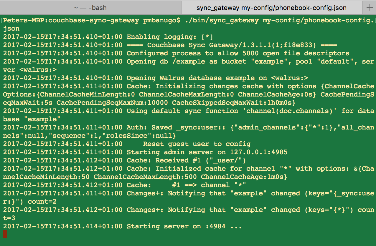start sync gateway