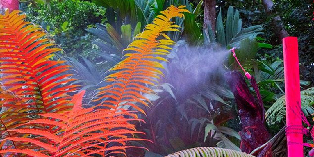 Offshoot invites visual artists and musicians to pair up for online gallery during community quarantine