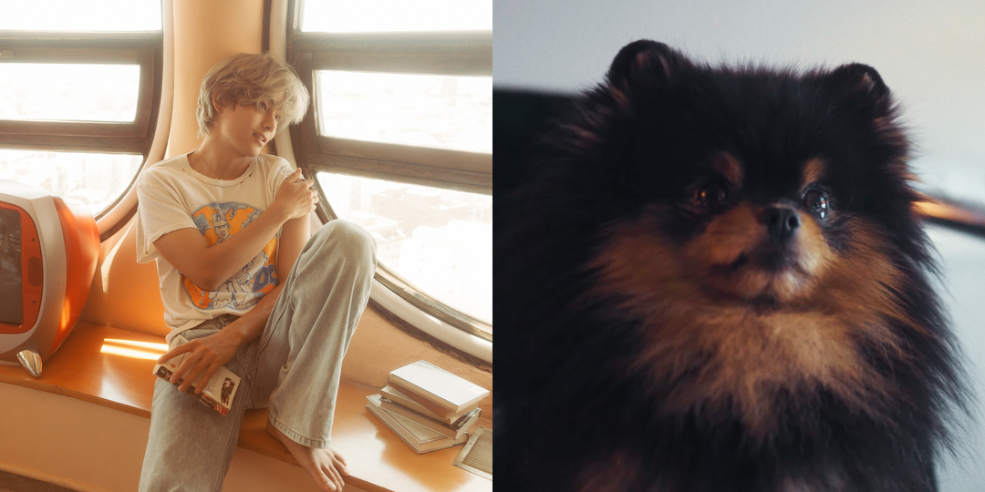 BTS' V previews 'Layover' with 'Love Me Again' and 'Rainy Days,' Yeontan makes music video debut