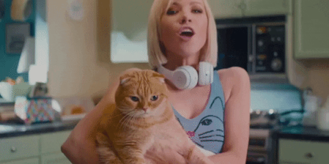 Fans share their One True Carly Rae Jepsen Bop