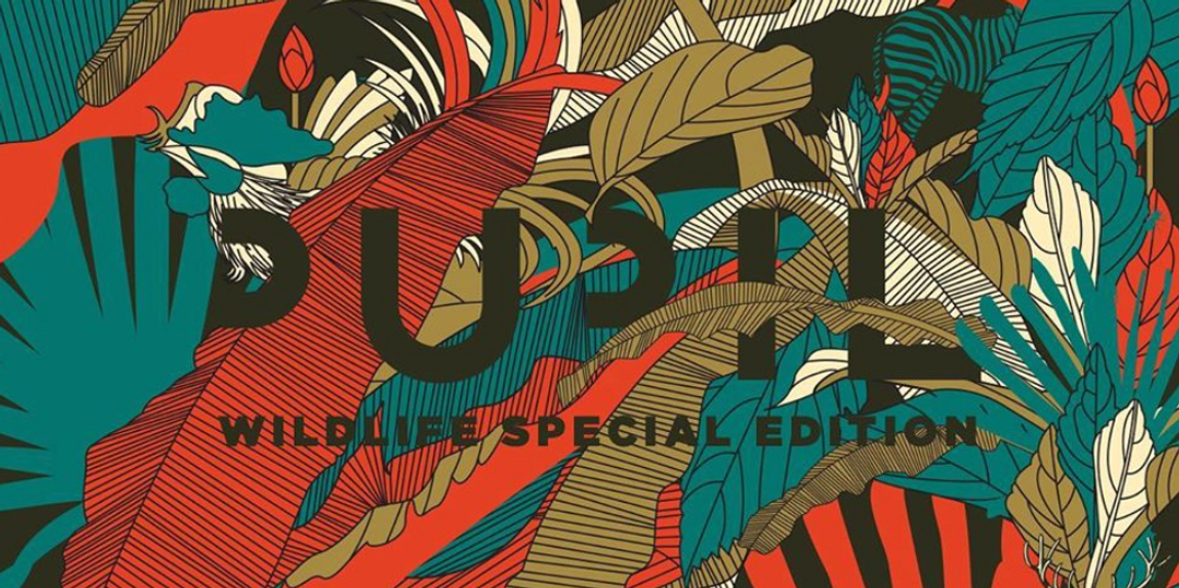 A special edition of Pupil's 2007 album, Wildlife, is now on streaming services – listen