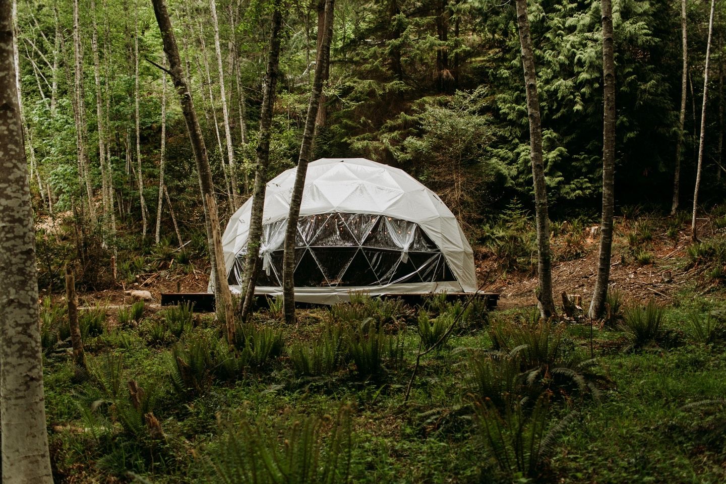 Relax & Recharge at Nectar on Bowen Island 2027