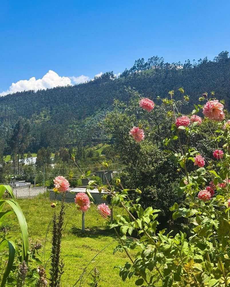 Otavalo Day tour