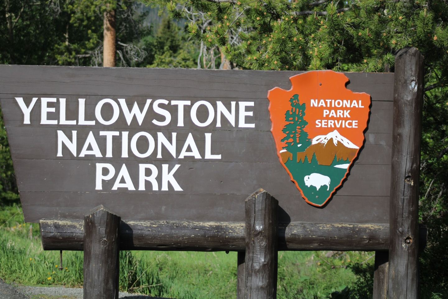 Yellowstone Lower Loop - Group Tour