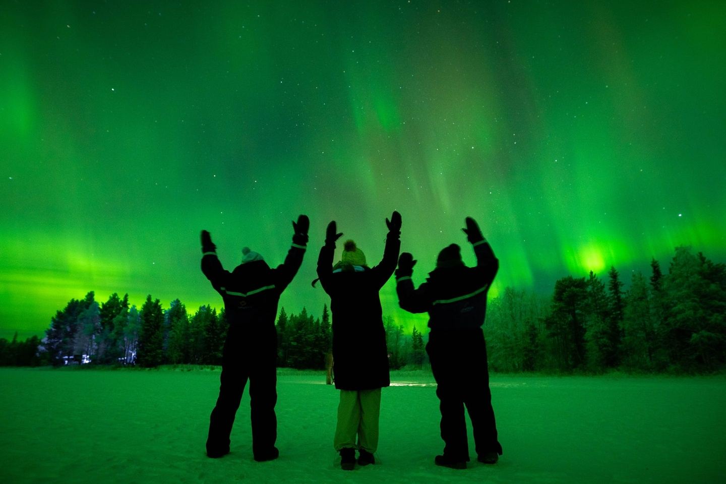 Lapland Arctic Study Tour
