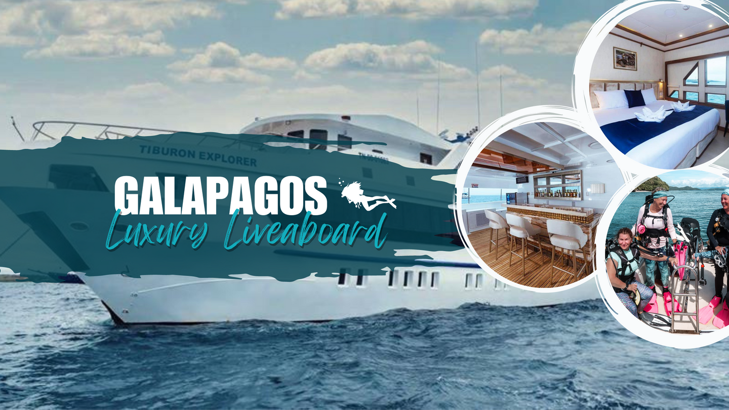 Galapagos Girls Liveaboard Trip