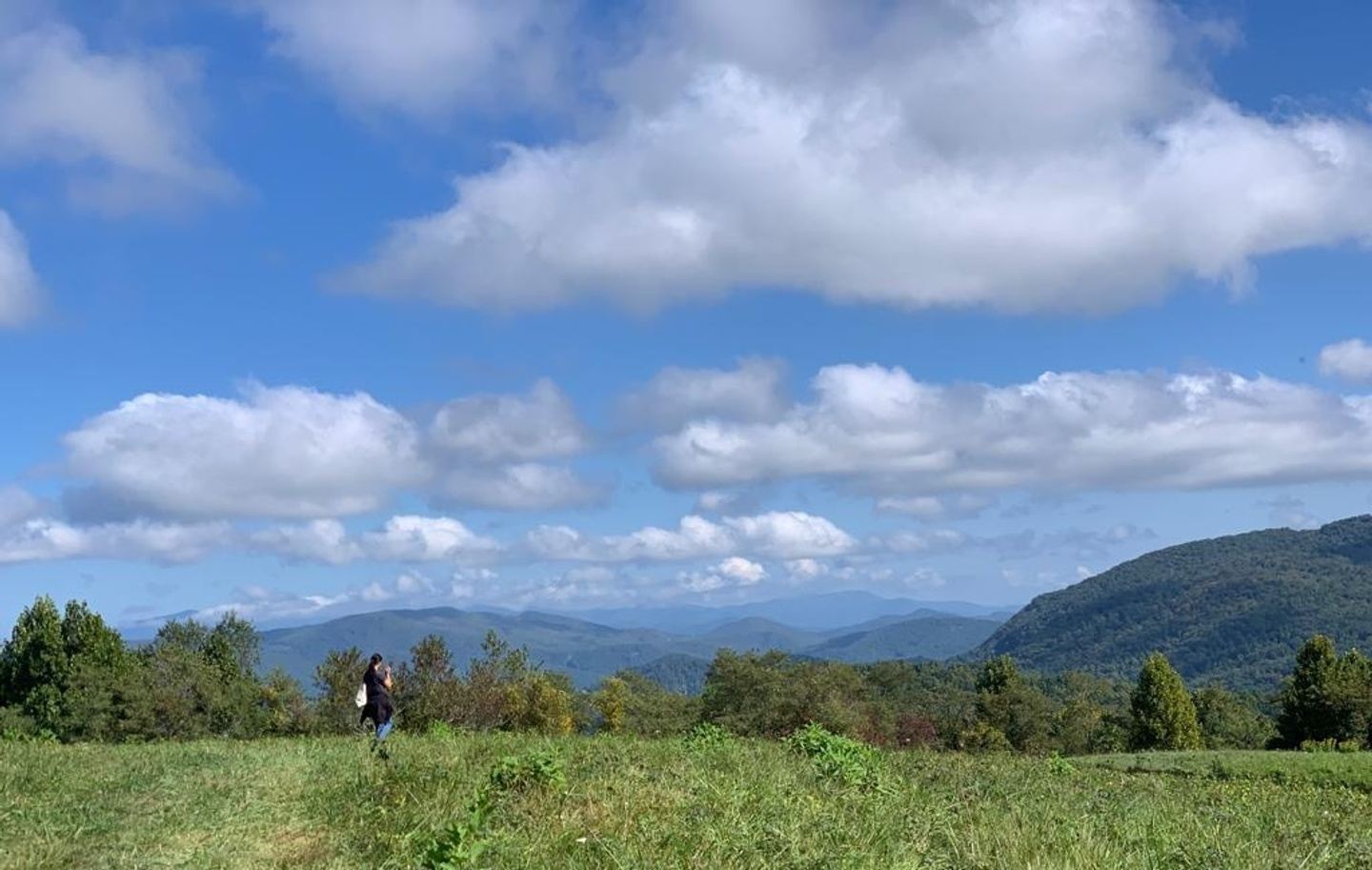 4 Day Private 'Beginners' Yoga Retreat in Western North Carolina