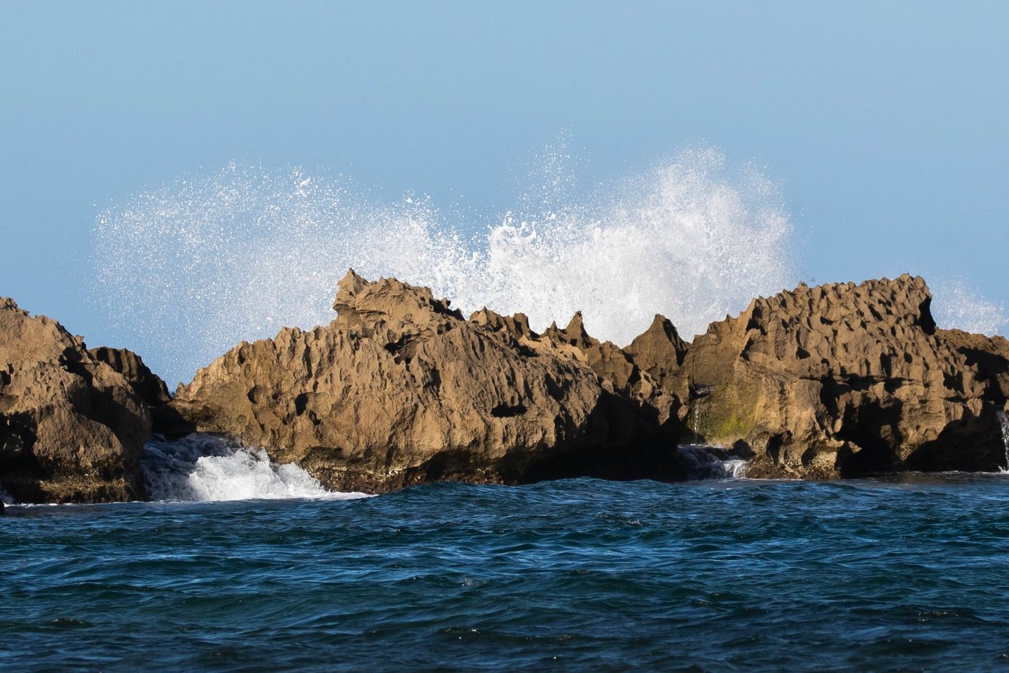 Puerto Rico: Birding the Island of Enchantment