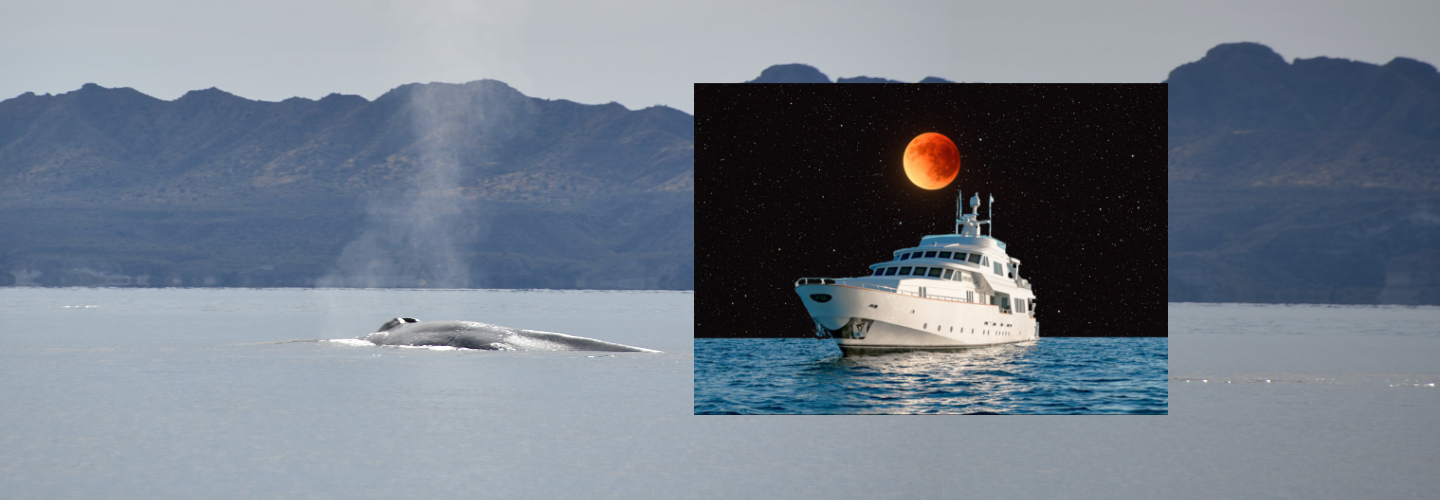 Blood Moon Lunar Eclipse Cruise