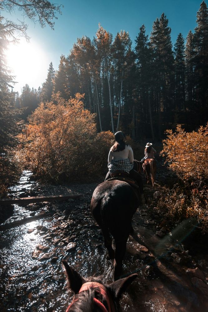 Horseback Riding Half-day trip
