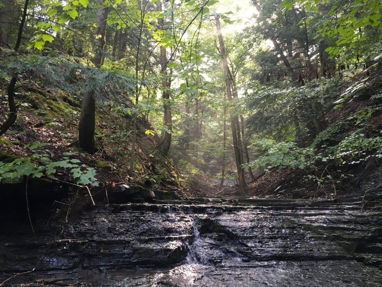 A Natural Stillness: Silence & Meditation Retreat